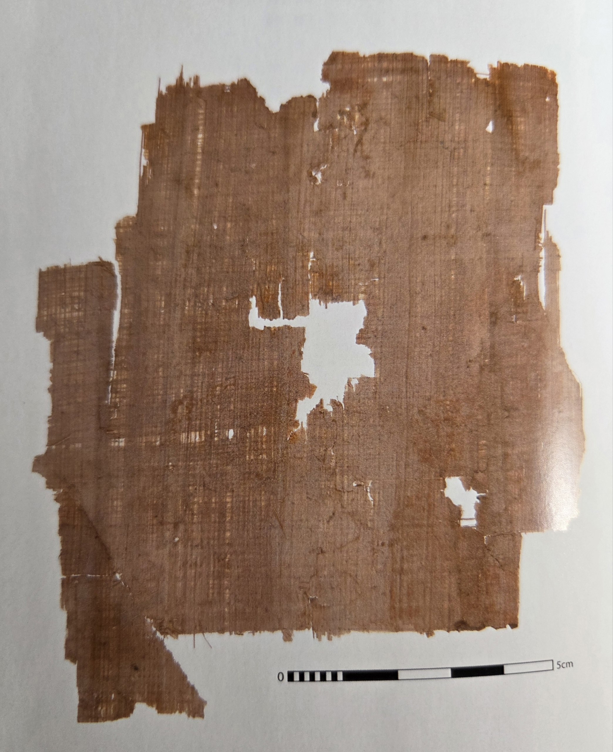 Sheet IV: P. Fouad inv. 218, verso (© IFAO, Cairo)
