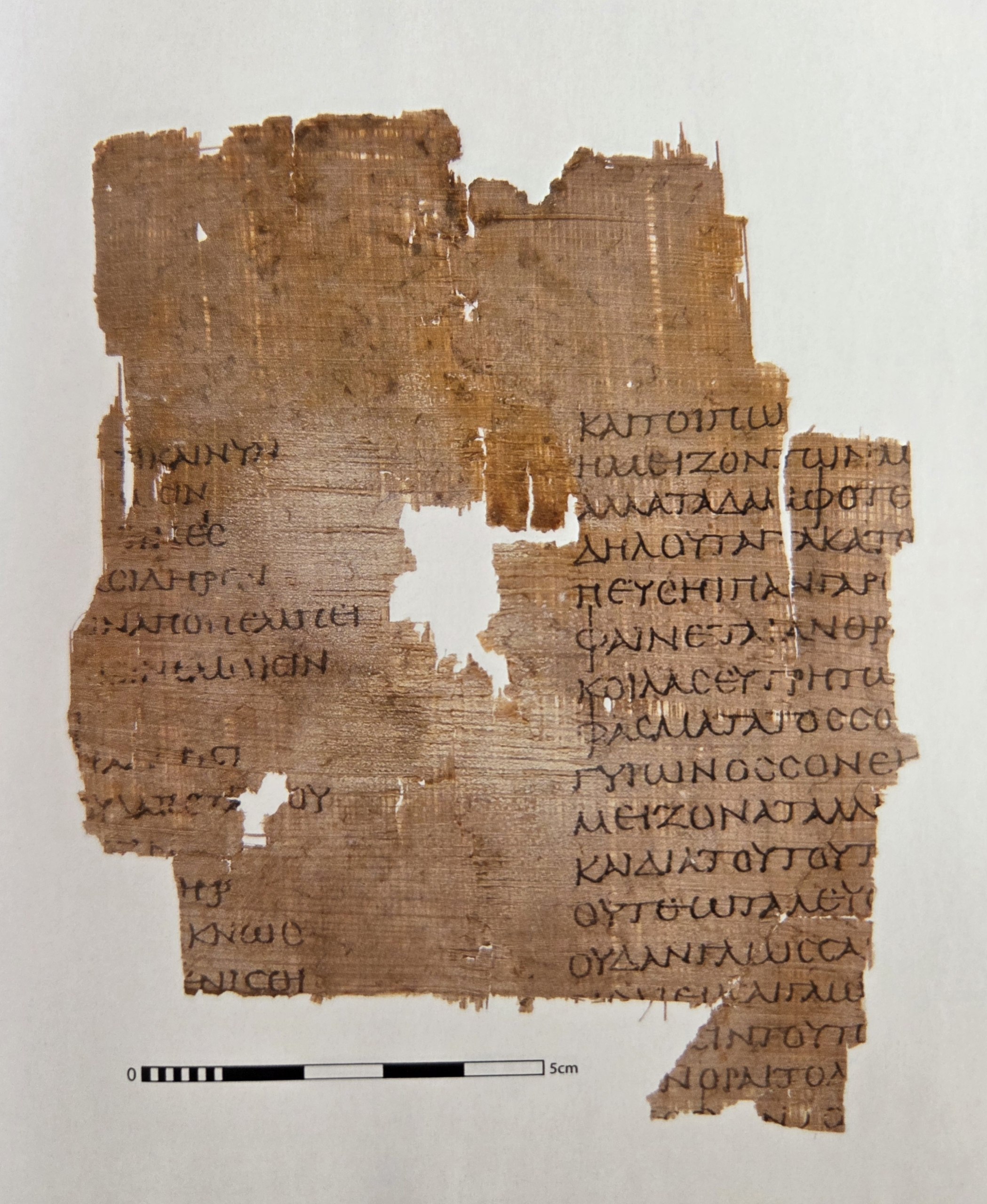 Sheet V: P. Fouad inv. 218, recto (© IFAO, Cairo)