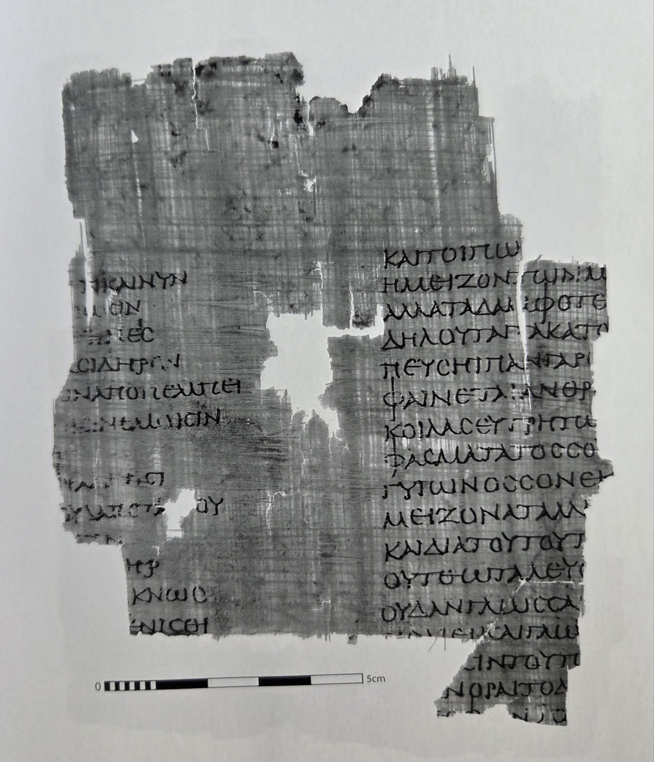 Sheet VII, P. Fouad, inv. 218, verso [infrared filter photograph] (© IFAO, Cairo)