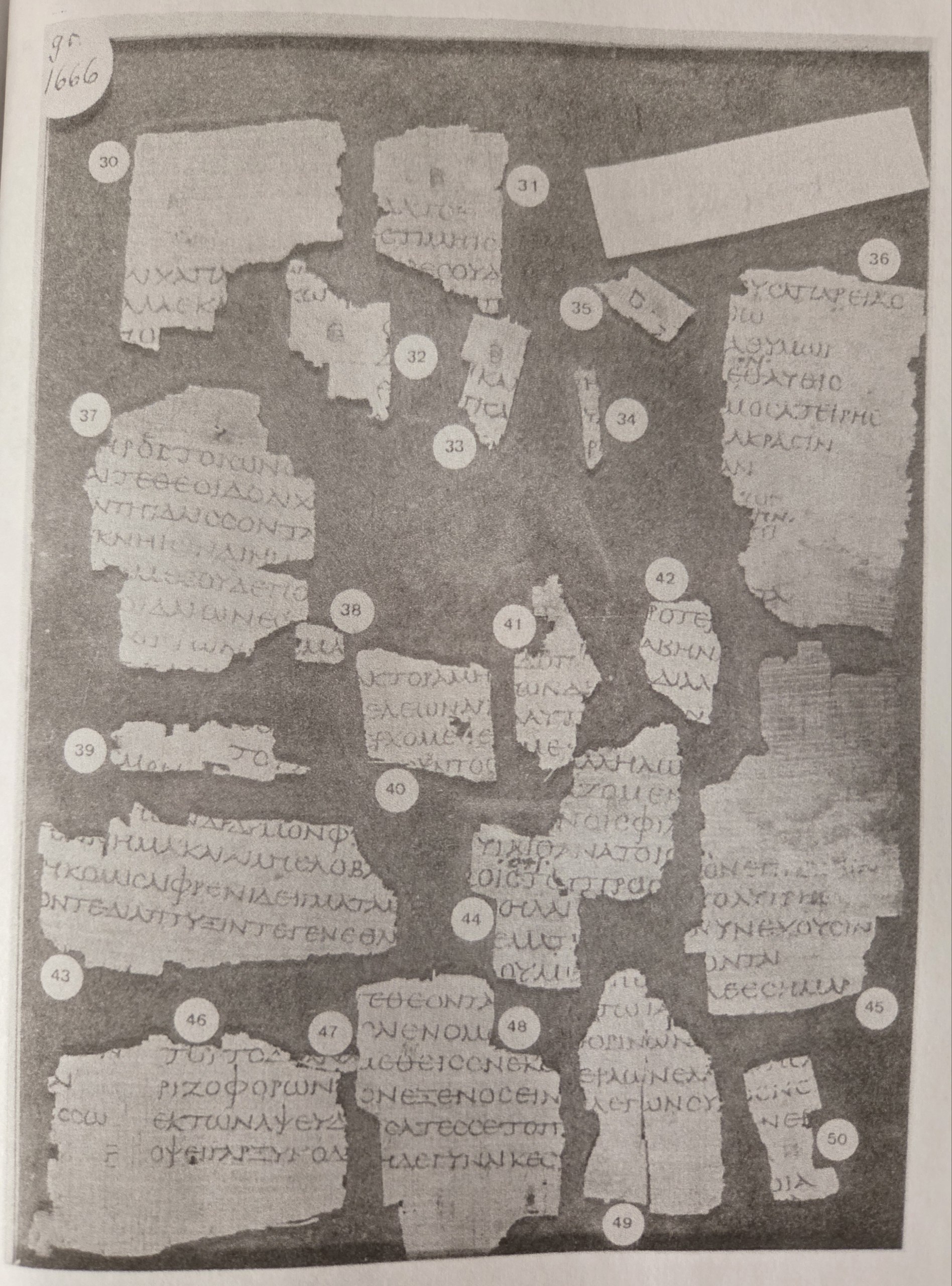 Sheet II: P. Strasb. Inv. 1666 (items 30-50)