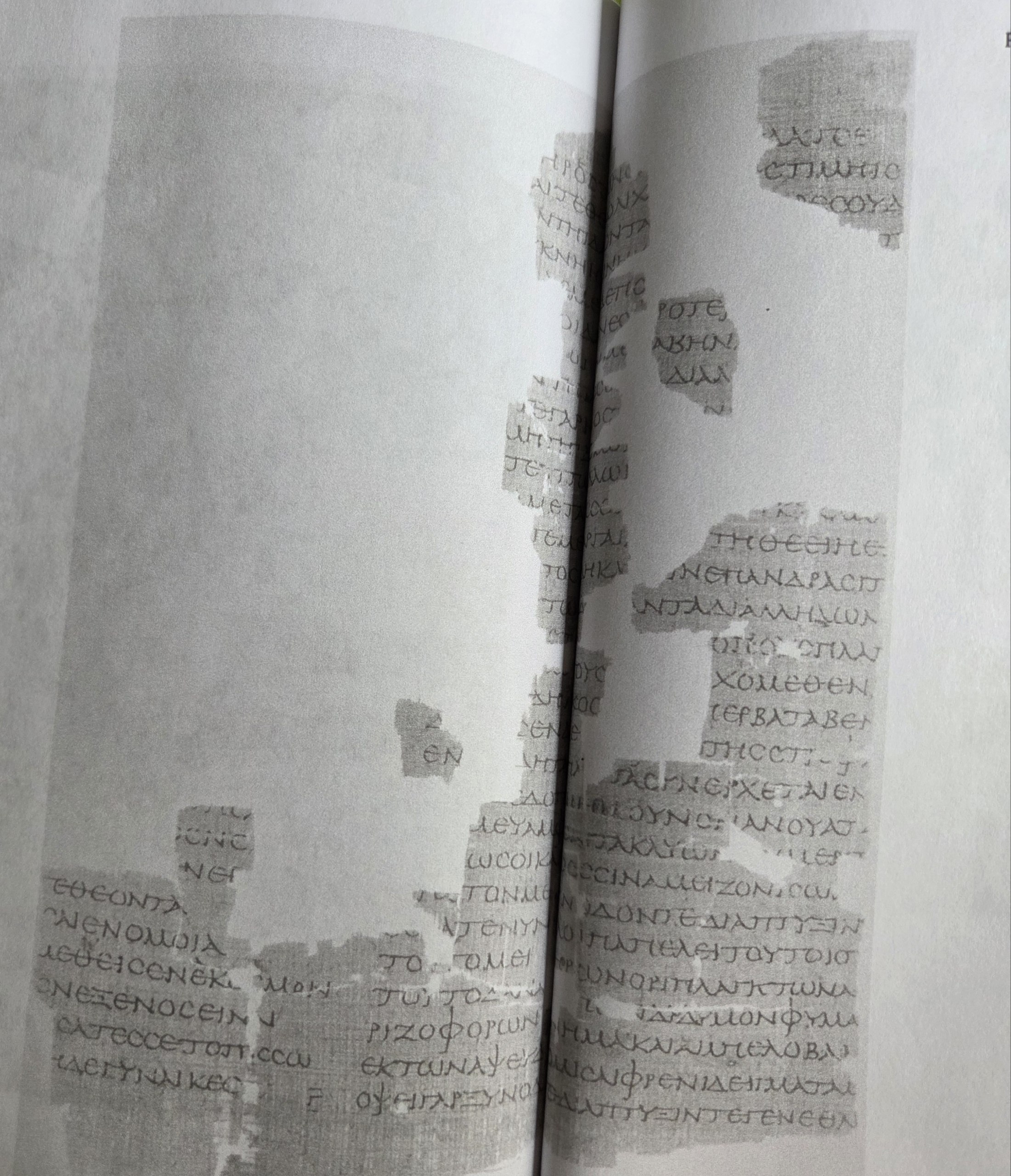Sheet II: P. Strasb. Inv. 1666 (items 30-50)